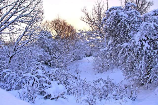 Snow is set to hit the region from Thursday.