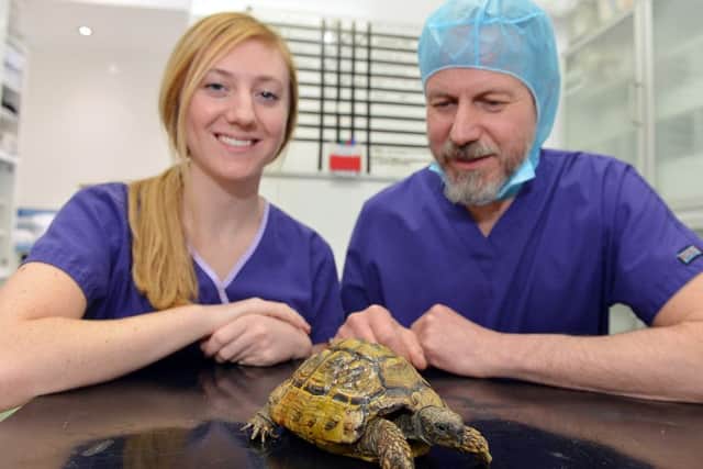 East Midlands referrals vet surgery. Nursev Sophie Hesketh and Principle vet Graham Oliver with Taribo.