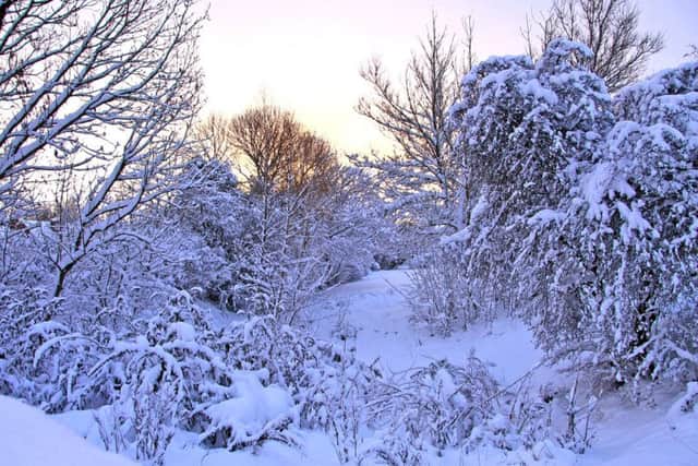 Stock image - Derbyshire in snow