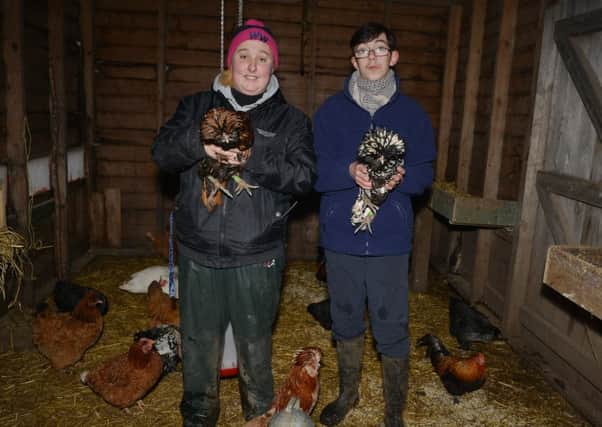 Willow Tree Family Farm are keeping their birds in confinement due to an out break of bird flu, pictured with some rare breed chickens are animal care assistant Paige Wakeling and volunteer animal care assistant Adam Lee Evans