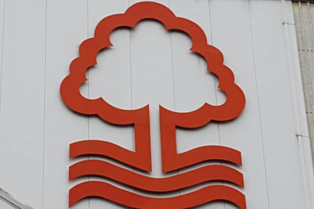 Forest blogger Steve Corry will be joining the fans' protest against Fawaz Al-Hasawi before Saturday's game against Bristol City.