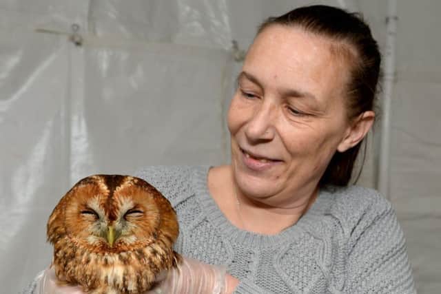 Mansfield Wildlife Rescue are appealing for donations for help to pay for equipment and veterinary bills, pictured is Cheryl Martins who runs the rescue from her home
