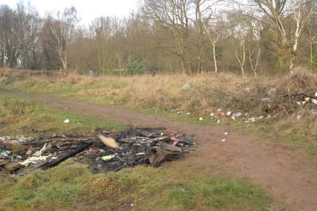 They claim residents are worried about development on the site because it would mean they 'lose their local tip'.