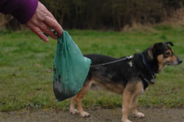 The council says dog fouling fines are working to keep out parks clean, but some residents say they have made little impact and Brierley Forest, in particular, is a mess.