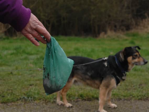 The council says dog fouling fines are working to keep out parks clean, but some residents say they have made little impact and Brierley Forest, in particular, is a mess.