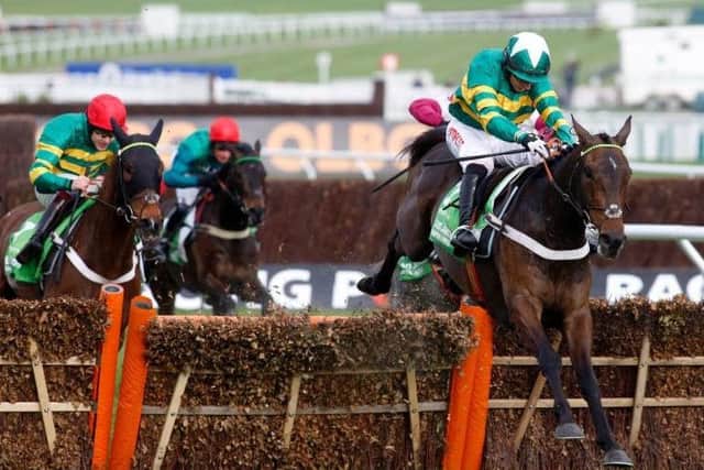 Buveur D'Air, ridden by Noel Fehily, and trained by Nicky Henderson, wins the Stan James Champion Hurdle at the Cheltenham Festival last week. (PHOTO BY: Julian Herbert.PA Wire)