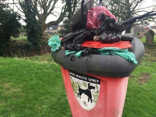 Dog waste bin