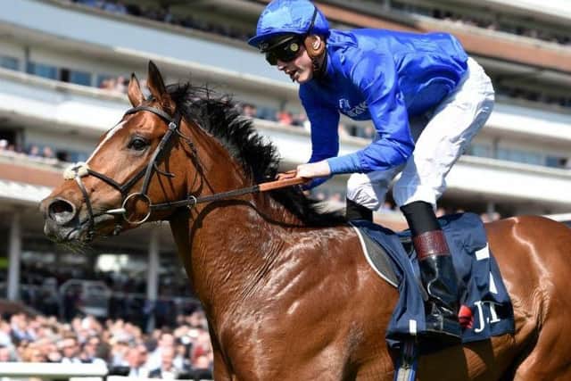 Barney Roy, who put up one of the best 3yo performances seen so far this season, winning the JLT Greenham Stakes at Newbury, and now goes for the Qipco 2,000 Guineas at Newmarket this weekend.
