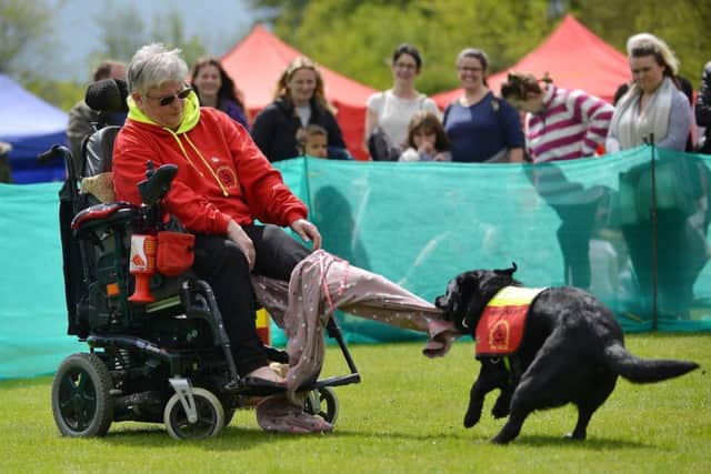 The show included a demonstration by the Dog A.I.D. organisation, which provides assistance dogs for disabled people. Here is an amusing example of the jobs the dogs can do. (PHOTO BY Rachel Atkins)