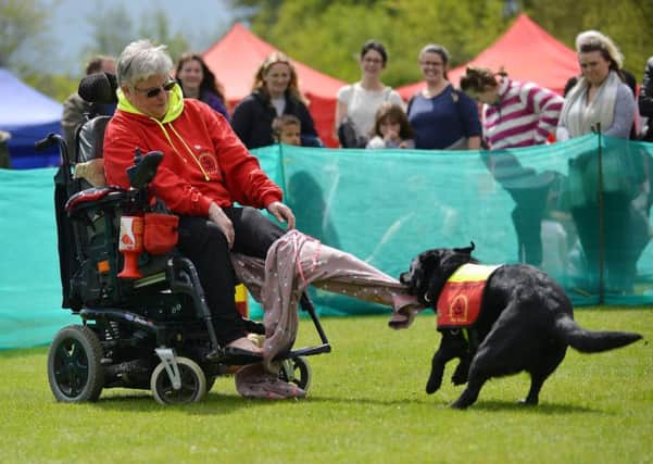 The show included a demonstration by the Dog A.I.D. organisation, which provides assistance dogs for disabled people. Here is an amusing example of the jobs the dogs can do. (PHOTO BY Rachel Atkins)