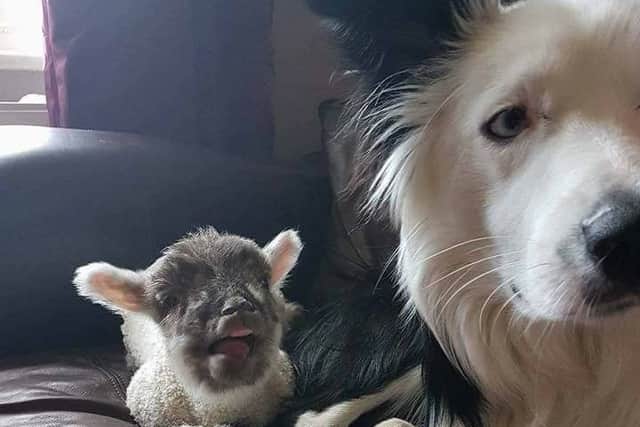 Blake and Bella
