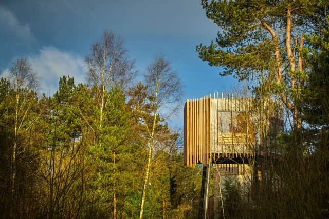Aqua Sana treetop sauna