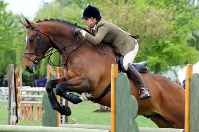 Newark Show.Lucinda Henson, from Torksey, on Paddy/Birchill See the Stars in the Restricted Open Working Hunter class.
