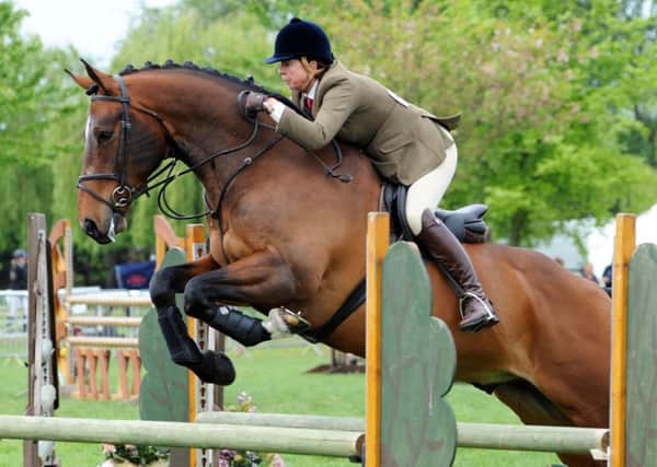 Newark Show.
Lucinda Henson, from Torksey, on Paddy/Birchill See the Stars in the Restricted Open Working Hunter class.