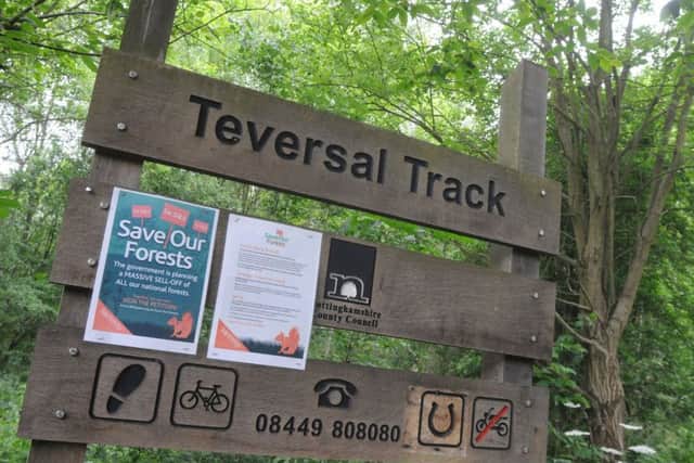 Teversal Trail