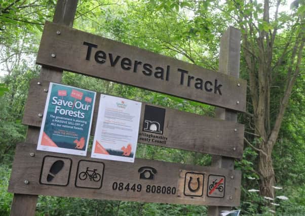 Teversal Trail