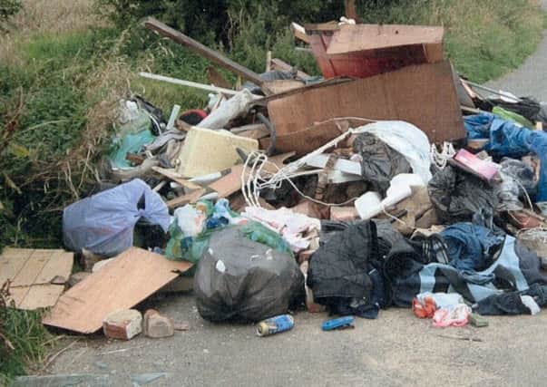 An example of the kind of fly-tipped waste by a roadside that councils have to clear up.