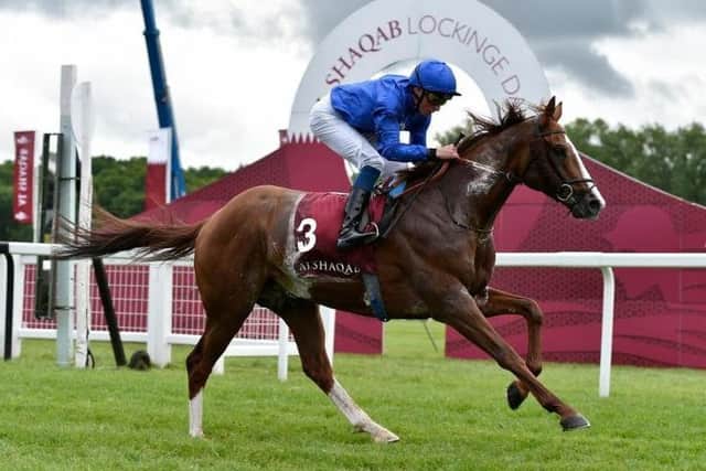 Godolphin star Hawkbill, who is one of many winners from last year's Royal Ascot expected to return in search of more success this week.
