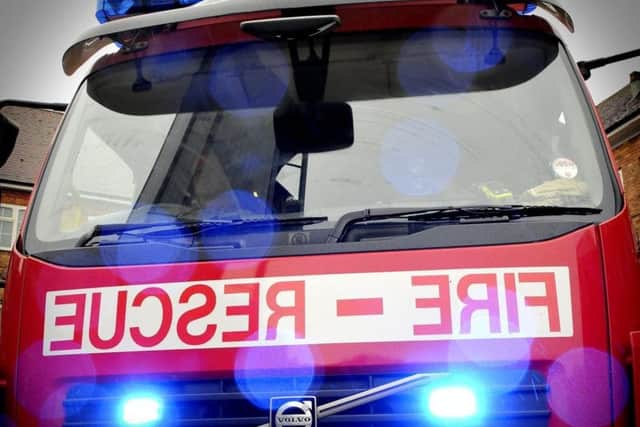 Firefighters called to dog's rescue