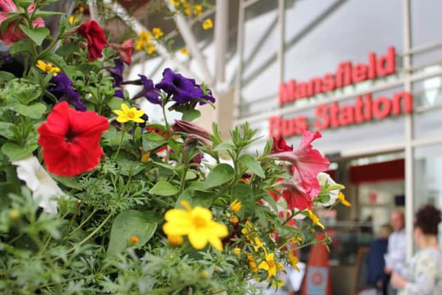 Beautiful flowers outside Mansfield bus station.