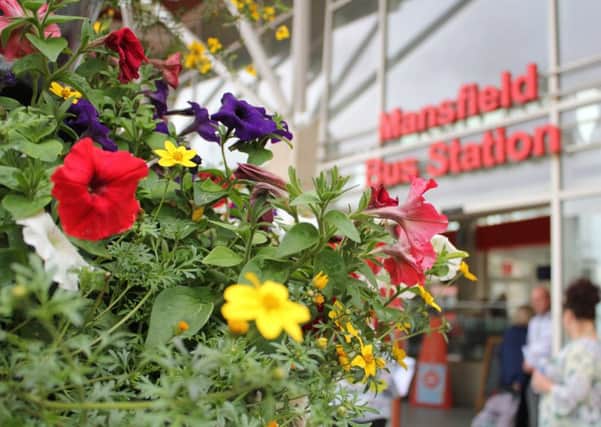 Beautiful flowers outside Mansfield bus station.