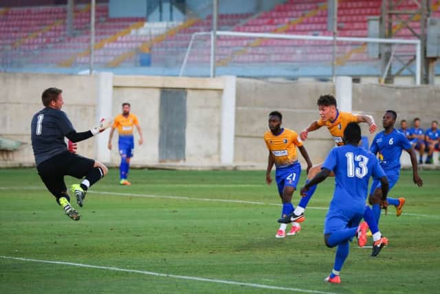 Stags in Malta 2017 - Pic by Chris Holloway