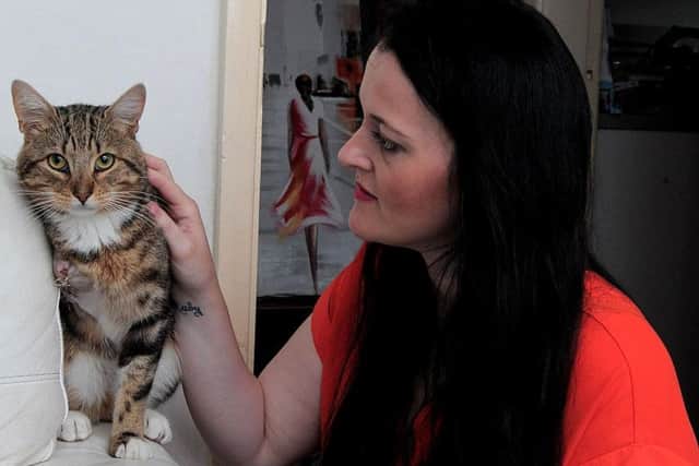 A Cat called Tony, belonging to Jill Walker of Mansfield Woodhouse, which was shot with an Air Rifle, has had to have a front leg amputated.(Cat was very tricky to photograph, as it would not come near people)NMAC 6-8-15 Cat,  Tony & owner Jill Walker (4)