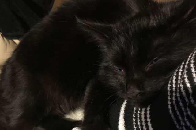 Angel is now recovering at home