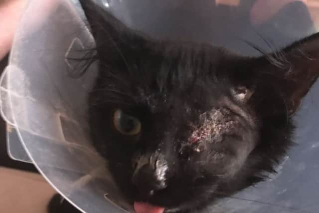 Angel lost an eye in the attack