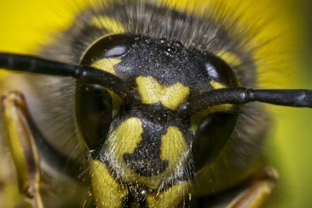 British Pest Control Association