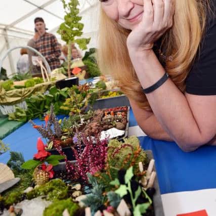 Mansfield Garden and craft festival 2017. Tina from Arena church and sponsor.