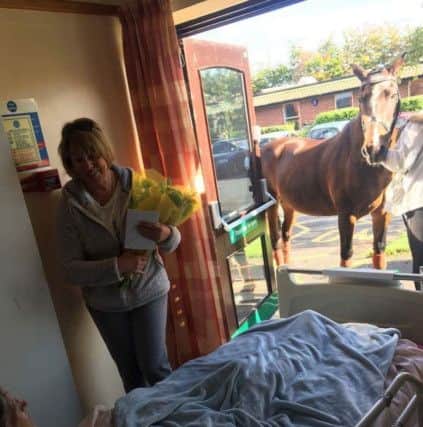 Jill Dowson 56 ,patient at Suttons John Eastwood Hospice reunited with her 13 year old pony Raffles.