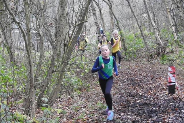 Nine-year-old Isabel Westwood in action for Mansfield Harriers at Shipley Park in Heanor.
