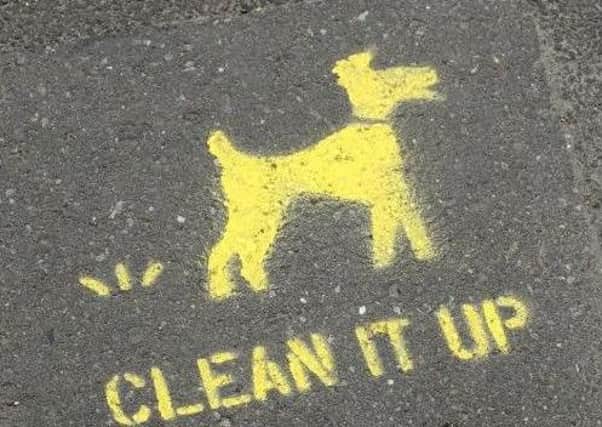 Dog fouling warnings.