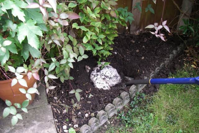 The straw case where Lupo was buried.
