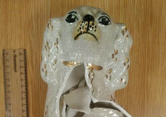 Nottinghamshire Police found this porcelain dog in the car of driver wanted for several offences but the force belive it has come another offence and want to find the owner