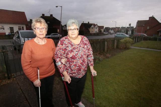 Susan Webb, aged 70, and 68-year-old Susan Jones, of Peel Crescent,
