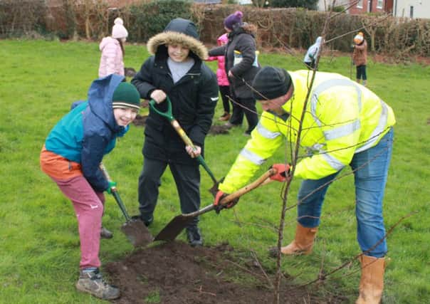 Youngsters from Asquith Primary School planting the new community orchard at Jacksons Field in Mansfield.