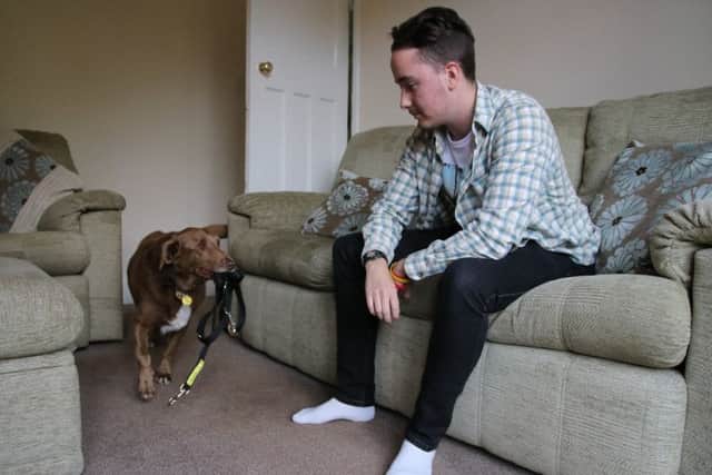When Robin doesn't feel like going out, Charlie gives him no option by fetching his lead!