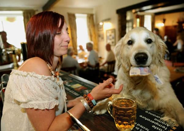 He may not buy you a pint, but your dog will be welcomed at these pubs!