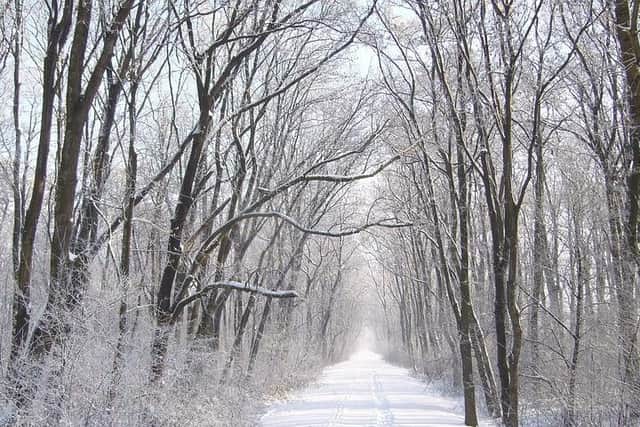 The Beast from the East is set to bring snow and freezing temperatures to Nottinghamshire this week.