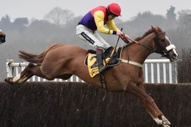Native River, third last year, is expected to go close again in the Timico Cheltenham Gold Cup.