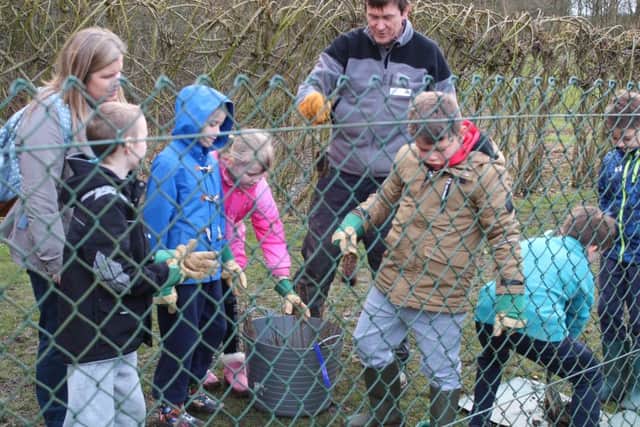 Children busy helping the Greenwood Community Forest team during the tree-planting project.