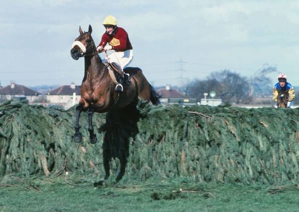 The legendary Red Rum, who won the Grand National three times in the 1970s.