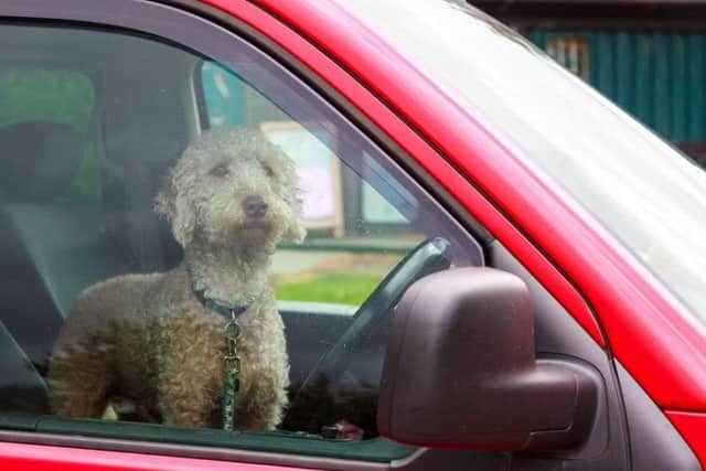 Temperatures can reach 47C inside a vehicle