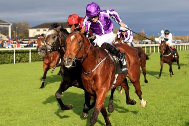 Saxon Warrior just edges out Roaring Lion at Doncaster in the Racing Post Trophy last October. Now the duo are set to lock horns again in the Investec Derby at Epsom on Saturday.