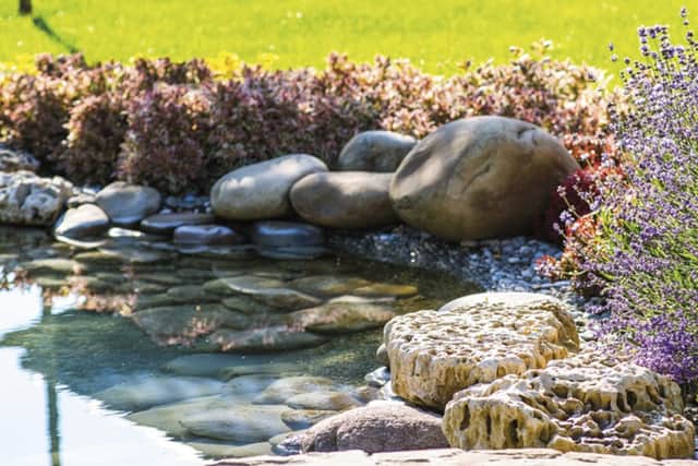 A calming pond to create biodiversity (Photo: Oase UK)